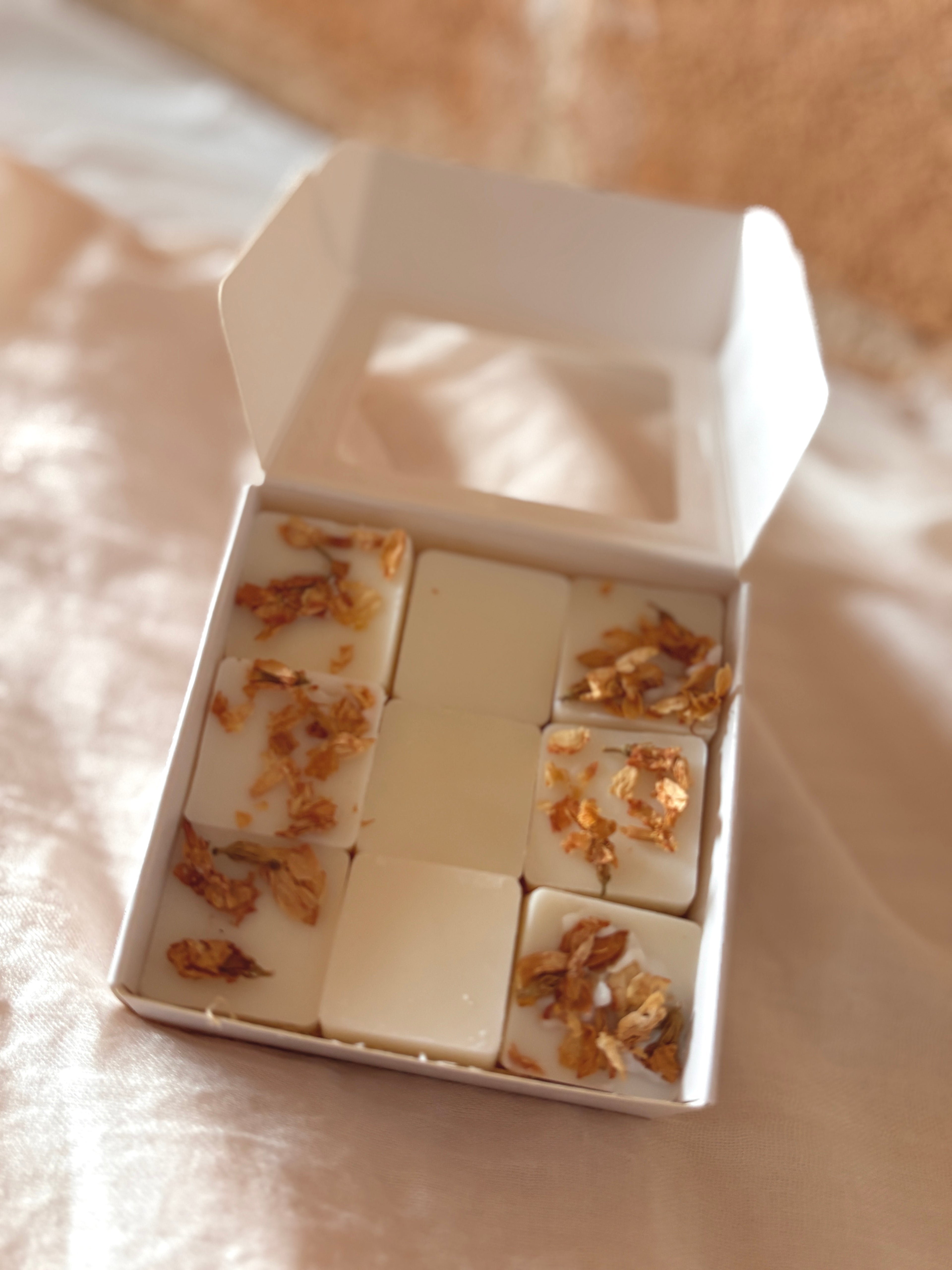 Wax Melts - Jardin Silvestre