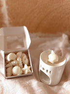 Wax melts - Brisa Tropical