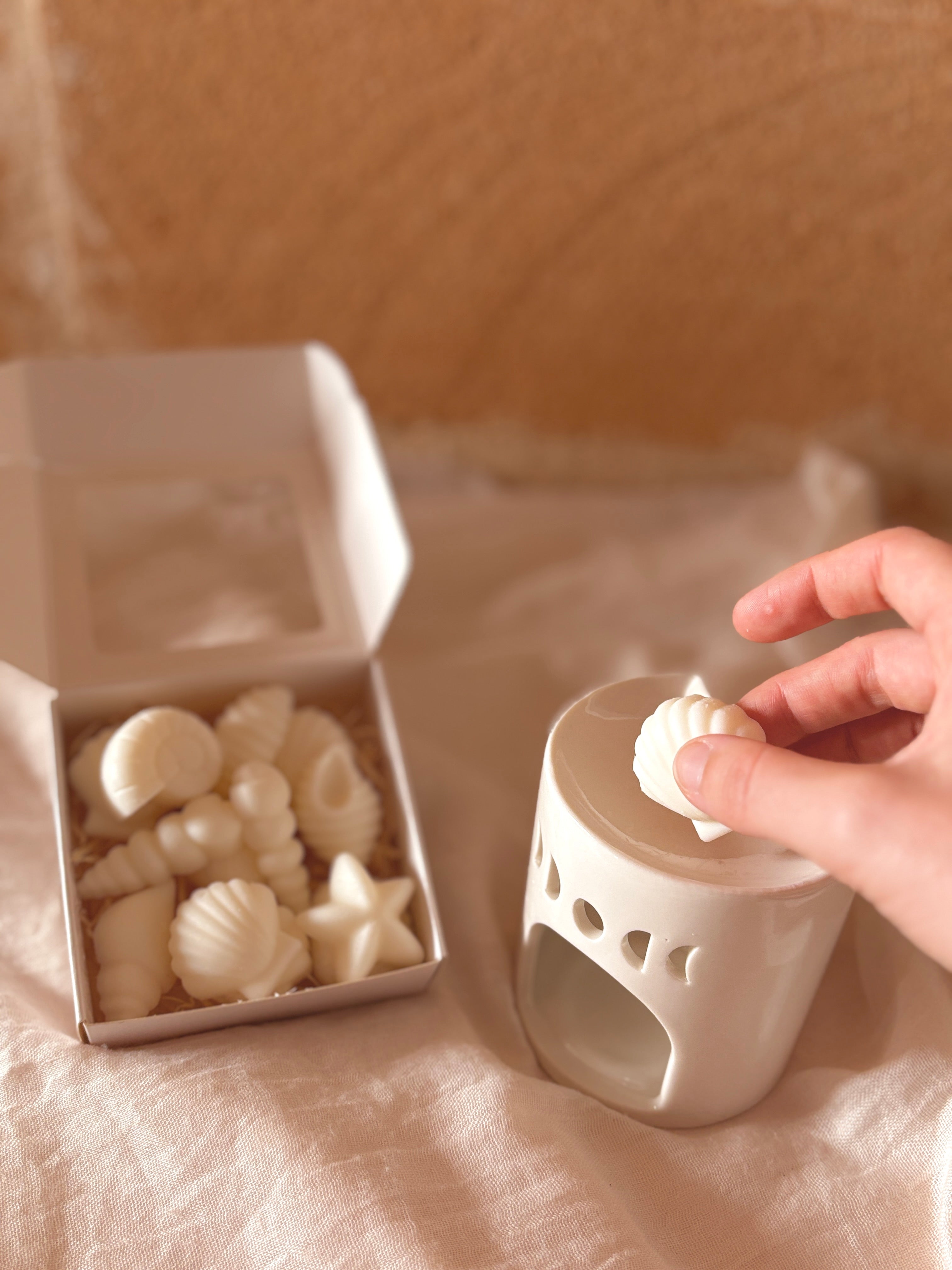 Wax melts - Brisa Tropical