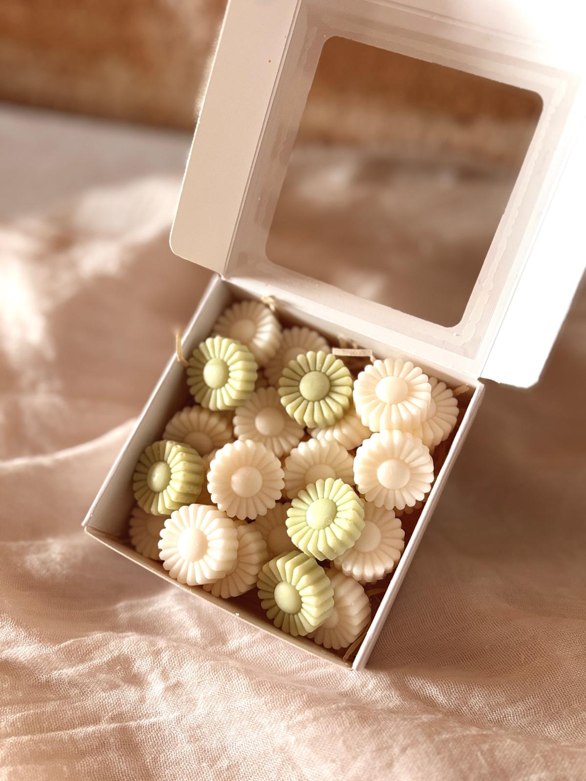 Wax melts - Tarde de verano