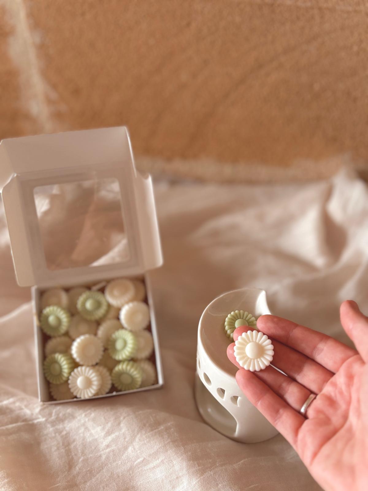 Wax melts - Tarde de verano
